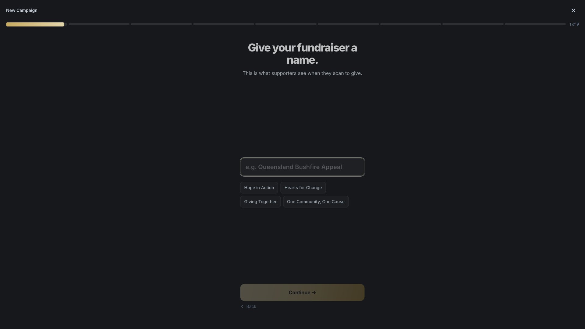 The campaign name screen with a text input and suggested names